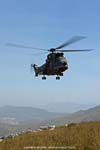 IMG_6078a